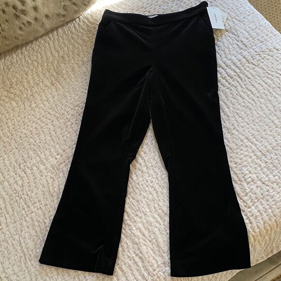 Black Velvet Flare Pants - Picture 1 of 9